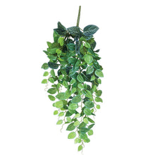 Load image into Gallery viewer, Plant Couture - Artificial Plants - Hanging Fittonia 90cm
