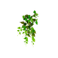 Load image into Gallery viewer, Plant Couture - Artificial Plants - Hanging Pothos 55cm

