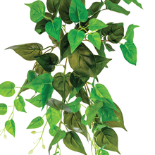 Load image into Gallery viewer, Plant Couture - Artificial Plants - Hanging Pothos 55cm - Close Up
