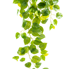 Load image into Gallery viewer, Plant Couture - Artificial Plants - Hanging Pothos Bush 107cm - Close Up
