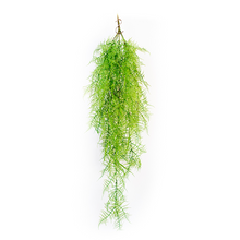 Load image into Gallery viewer, Plant Couture - Artificial Plants - Hanging Fern Green 112cm
