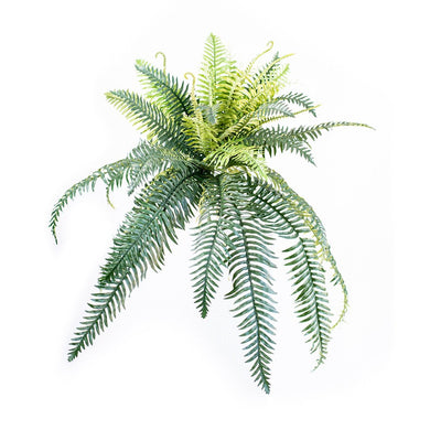 Plant Couture - Artificial Plants - Fern Horse Tail 75cm