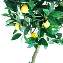 Load image into Gallery viewer, Plant Couture - Artificial Plants - Lemon Tree 120cm - Close Up 
