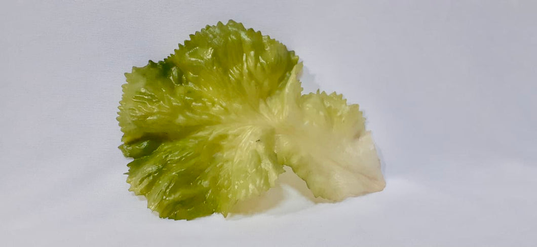 Lettuce Leaves-Green (Pack of 3) - Green Design