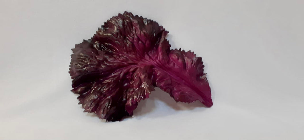 Artificial Lettuce Leaves-Purple (Pack of 3)
