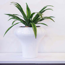 Load image into Gallery viewer, Plant Couture - Pots &amp; Planters - Massoni - Lifestyle Images 
