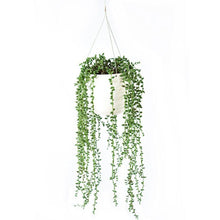 Load image into Gallery viewer, Plant Couture - Artificial Plant Pot - Montana Small - With Hanging Seed Pods 
