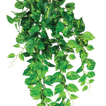 Load image into Gallery viewer, Plant Couture - Artificial Plants - Hanging Fresh Pothos 90cm - Close Up

