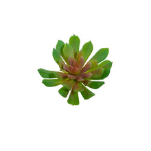 Load image into Gallery viewer, Plant Couture - Artificial Plants - Succulent Rock Rose Green &amp; Pink 10cm - Top
