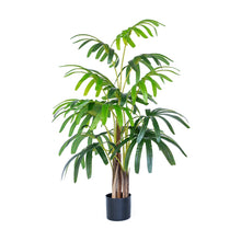 Load image into Gallery viewer, Plant Couture - Artificial Plants - Rhaphis Palm 120cm
