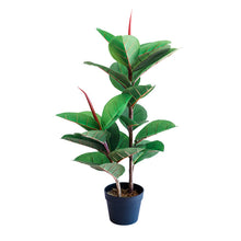 Load image into Gallery viewer, Plant Couture - Artificial Plant &amp; Pot Combo - With Rubber Tree 82cm
