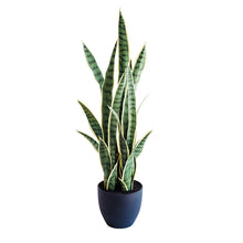 Load image into Gallery viewer, Plant Couture - Artificial Plants - Sansevieria Yellow Green 86cm

