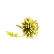 Load image into Gallery viewer, Plant Couture - Artificial Plants -Succulent Echiveria Elegance 19cm - Side
