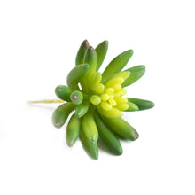 Load image into Gallery viewer, Plant Couture - Artificial Plants - Succulent Echiveria Hookerli 9cm - Right Side
