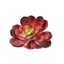 Load image into Gallery viewer, Plant Couture - Artificial Plants - Succulent Rock Rose Aeonium Red 18cm
