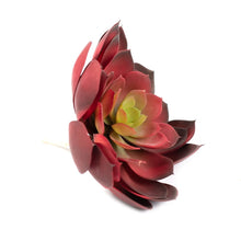Load image into Gallery viewer, Plant Couture - Artificial Plants - Succulent Rock Rose Aeonium Red 18cm - Side 
