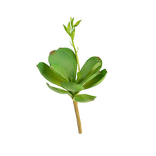 Load image into Gallery viewer, Plant Couture - Artificial Plants - Succulent Paddle Plant 22cm
