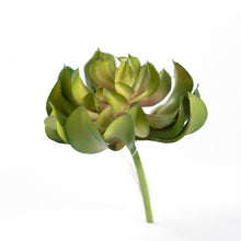 Load image into Gallery viewer, Plant Couture - Artificial Plants - Succulent Topsy Turvey 13cm
