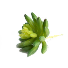 Load image into Gallery viewer, Plant Couture - Artificial Plants - Succulent Echiveria Hookerli 9cm - Left Side
