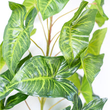 Load image into Gallery viewer, Plant Couture - Artificial Plants - Syngonium Branch 110cm - Close Up Of Leaves And Stems 
