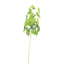 Load image into Gallery viewer, Plant Couture - Artificial Plants - Syngonium Branch 110cm
