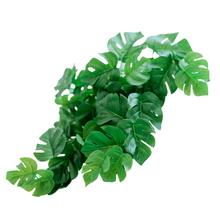 Load image into Gallery viewer, Hanging Monstera 50cm - Green Design
