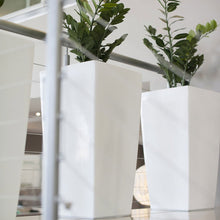 Load image into Gallery viewer, Plant Couture - Artificial Plant Pot - Valentino B - Lifestyle Image 
