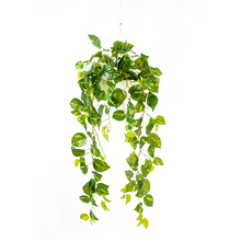 Load image into Gallery viewer, Plant Couture - Artificial Plant &amp; Pot Combo - Valli Hanging Pot with Hanging Epipremnum - Closeup
