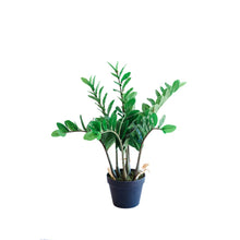 Load image into Gallery viewer, Plant Couture - Artificial Plant &amp; Pot Combo - With Zamifolia 64cm
