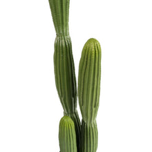 Load image into Gallery viewer, CACTUS X 3 150CM
