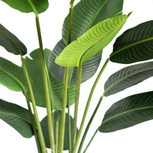 Load image into Gallery viewer, Plant Couture - Artificial Plants - Bird Of Paradise Tree 180cm - Close Up Of Leaves And Stems 
