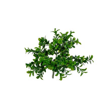 Load image into Gallery viewer, Plant Couture - Artificial Plants - Boxwood Bush 27cm - Top 
