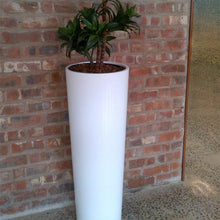Load image into Gallery viewer, Plant Couture - Chanel B Fiberglass Pot - Lifestyle Image 

