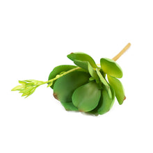 Load image into Gallery viewer, Artificial Plants - Succulent Paddle Plant 22cm

