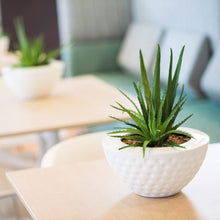 Load image into Gallery viewer, Plant Couture - Pots &amp; Planters - Doma - Lifestyle Image 
