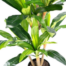 Load image into Gallery viewer, Plant Couture - Artificial Plants - Dracaena 130cm - Close Up Of Stems And Leaves 
