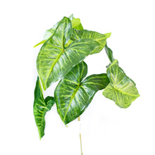 Load image into Gallery viewer, Artificial Plants - Syngonium Bush 45cm
