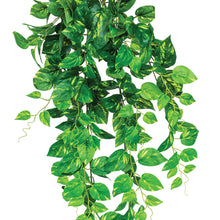 Load image into Gallery viewer, Artificial Plants - Hanging Fresh Pothos 90cm
