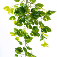 Load image into Gallery viewer, Plant Couture - Artificial Plants - Hanging Epipremnum Bush 108cm - Close up 
