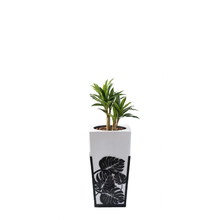 Load image into Gallery viewer, Plant Couture - Artificial Plant &amp; Pot Combo - Gaultier DL with Dracaena 80cm
