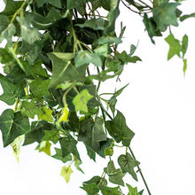 Load image into Gallery viewer, Plant Couture - Artificial Plants - Hanging Ivy Bush 60cm - Close Up
