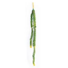 Load image into Gallery viewer, Plant Couture - Artificial Plants - Hanging Donkey&#39;s Tail 76cm
