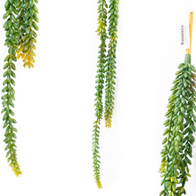Load image into Gallery viewer, Plant Couture - Artificial Plants - Hanging Donkey&#39;s Tail 76cm - Close Ups 
