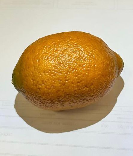Artificial weighted Lemons