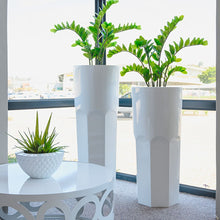 Load image into Gallery viewer, Plant Couture - Pots &amp; Planters - Le Long L - Lifestyle Image 
