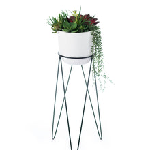 Load image into Gallery viewer, Plant Couture - Artificial Plant Pot - Montana Large - White Pot On Stand With Artificial Succulents 
