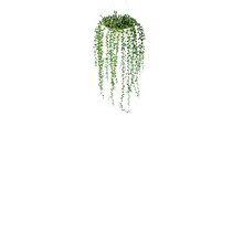 Load image into Gallery viewer, Plant Couture - Artificial Plant &amp; Pot Combo - Valli Hanging Pot with Seedvine
