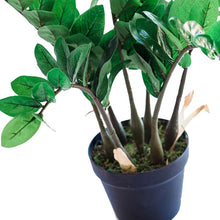 Load image into Gallery viewer, Plant Couture - Artificial Plants - Zamifolia 64cm - Close Up
